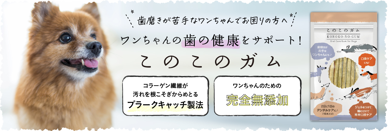 WEB正規販売店 このこのは×4/このこのガム×2 犬 www.win-ed.com.bd